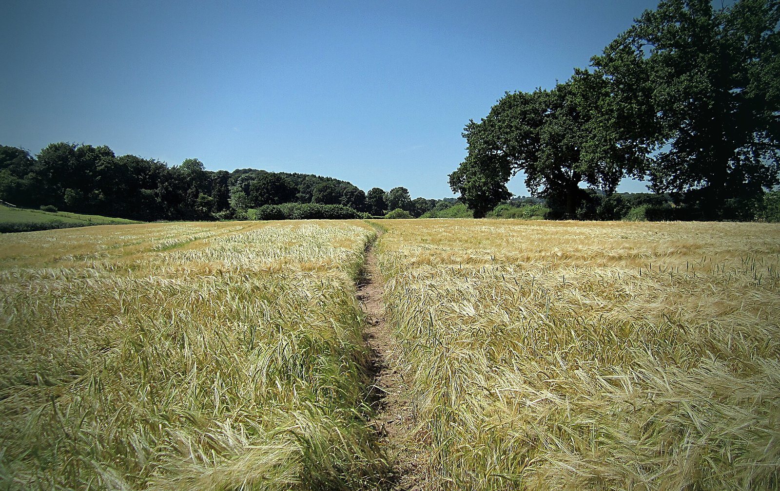 Riding in Cheshire: routes from Oulton Park and Tarporley